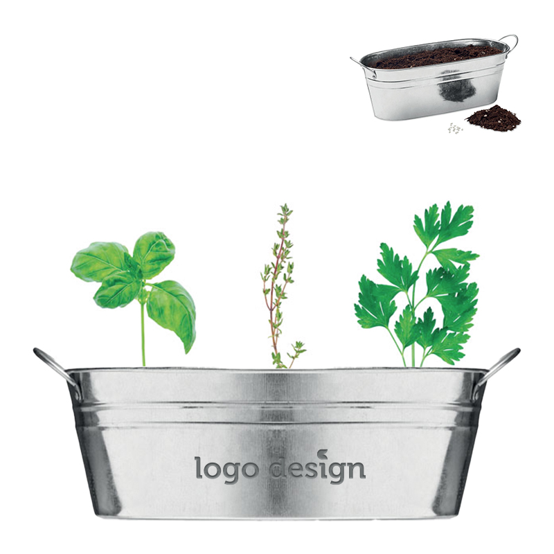 Planter zinc with herbs